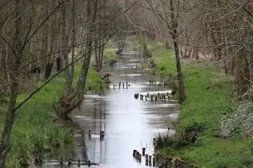 Pont sur l'Aronde à Gournay
