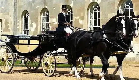 Photo de Carriagehire