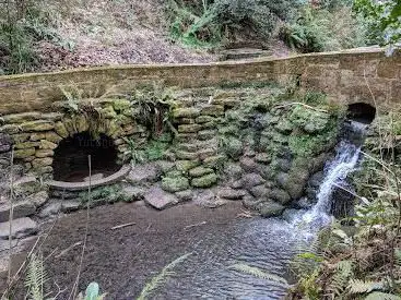 Photo de Yeovil Country Park
