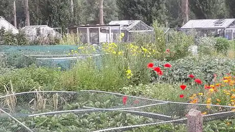 Photo de Koninklijke Volkstuinen Edegem