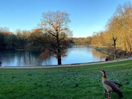 Photo de Lac du bois de la Cambre