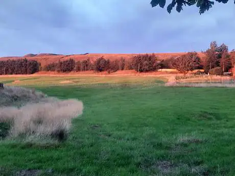 Viewing Area