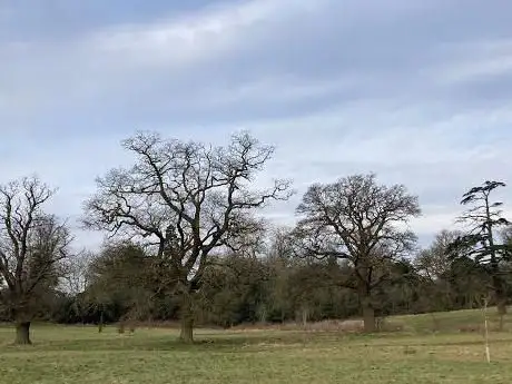 Photo de Wicksteed Water Meadows Nature Reserve