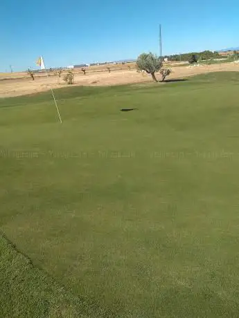 Photo de Golf Torija