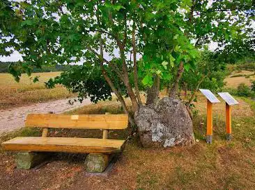 Streuobstwiesen
