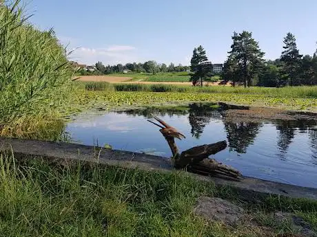 Chatzentobelweiher