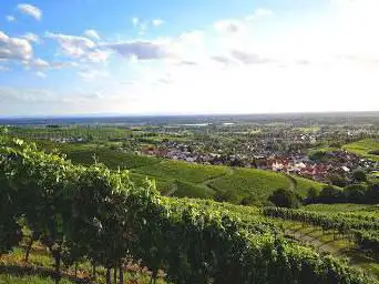Ausblick in die Rheinebene