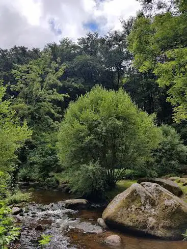 Photo de Le Bois de la Perche