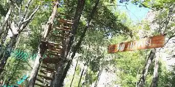 Photo de Grimp In Forest