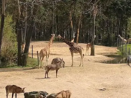 Burgers' zoo