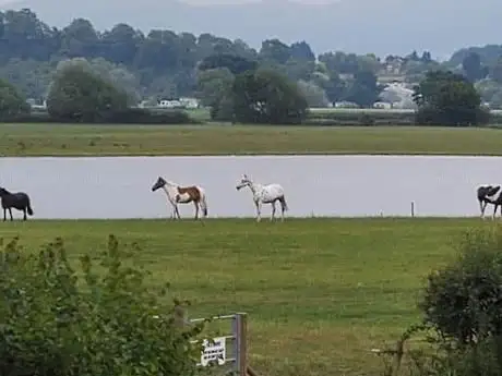 Photo de Worcester Riding School