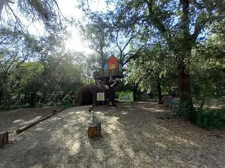 Photo de Bosco Curtipitrizzi