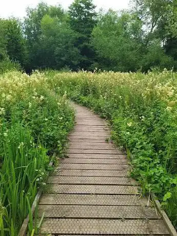 Photo de Blacke Marsh and White Wickets Nature Reserve