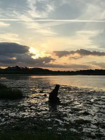 Lytchett Bay