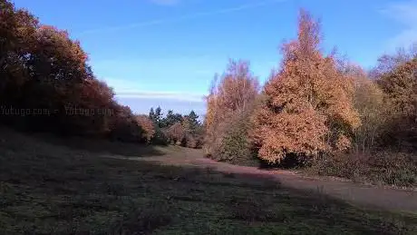 Photo de Brooklands Community Park