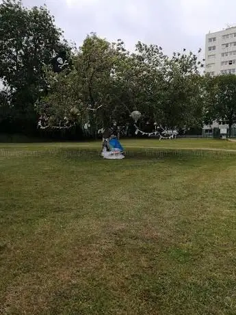 Photo de Dragon Park