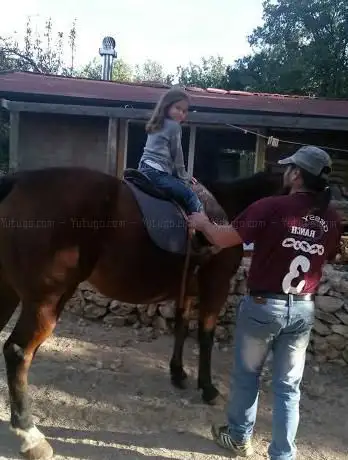 Photo de Gessy Ranch ASD