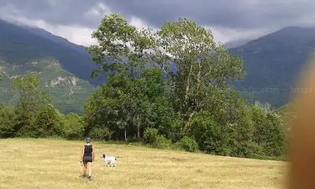 Photo de Información Puro Pirineo