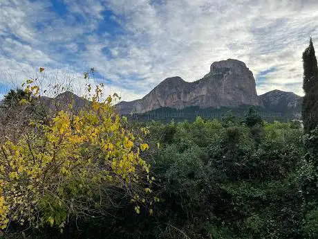 Photo de León Durmiente de Montaña