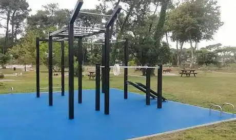 Photo de Street Workout Calisthenics Park