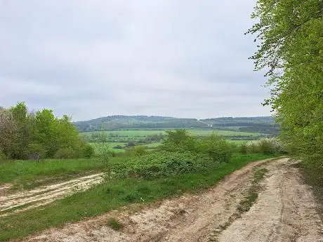 Photo de Windmill Hill Woods