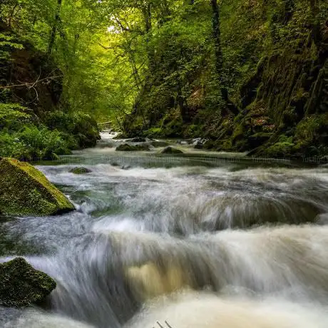 Photo de Ness Glen Walk