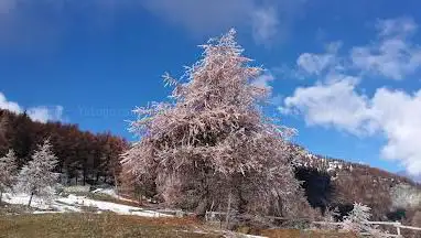 Lago Grande Puine