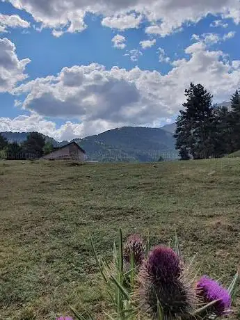 Photo de Cortal de l'Oriol