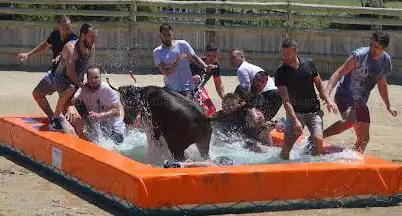 Toro piscine EVG Montpellier