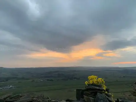 Photo de Hartcliff Tower