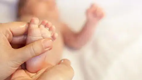 Photo de The Good Sense antenatal and baby classes