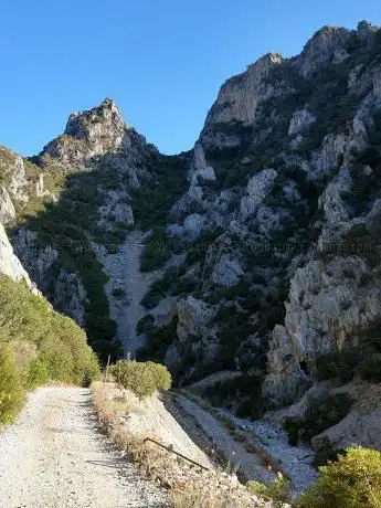 Canale (Rio) di Gutturu Cardaxius
