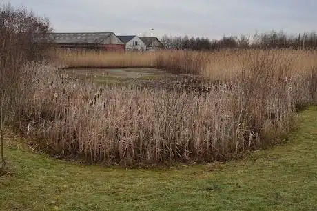 Provinciaal Overstromingsgebied Fortloop