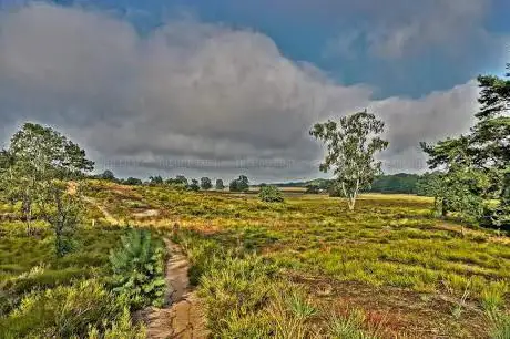Photo de Ten Haagdoornheide