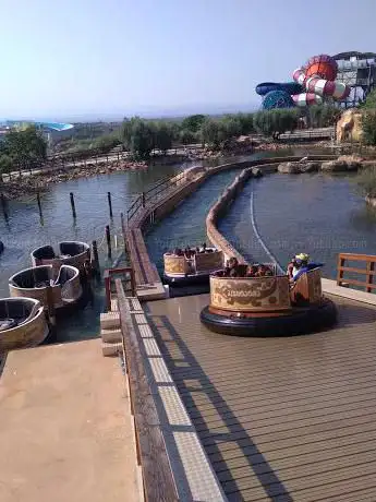 Photo de Crocodile Rapids