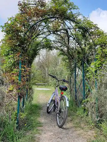 Photo de Chadwell Millennium Green