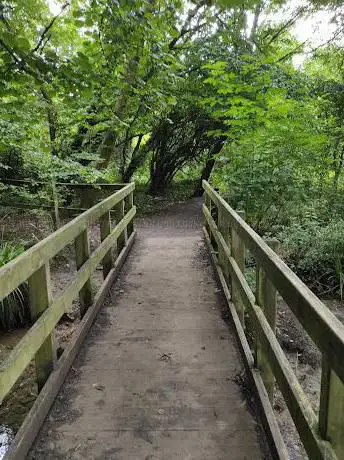 Peatmoor Community Woodland