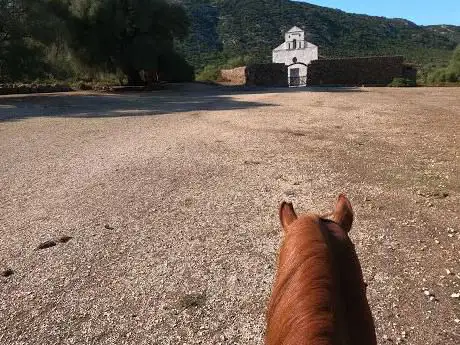 Centro di Equitazione e Turismo Equestre Golgo