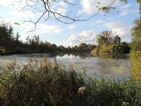 Photo de Plankenpad De Broeken