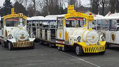 LE PETIT TRAIN