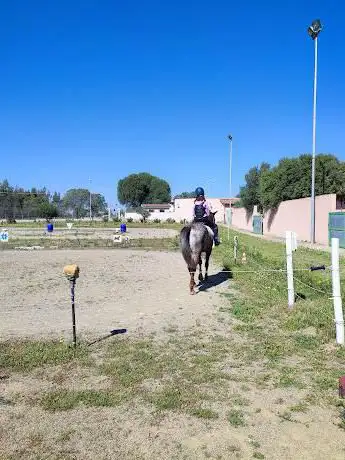 Maneggio Ippoterapia Equestre Spiziosesa