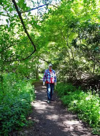 Wayford Woods