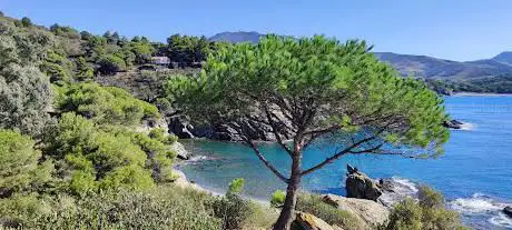 Sentier Sous-Marin de Cerbère-Banyuls