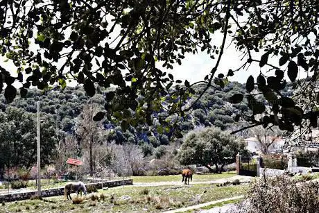 Photo de Parque Natural Sierra de Huétor