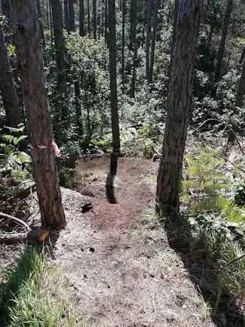 COVIDTRAIL MTB