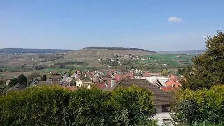 Photo de Office de tourisme des Paysages de la Champagne