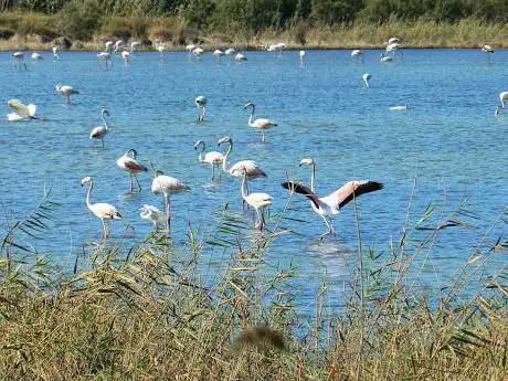 Photo de Riserva Pantano BARONELLO