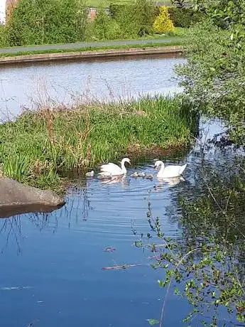 Photo de Old Swans Nest
