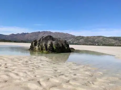 Observatorio ornitolóxico