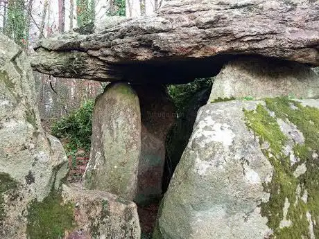 Photo de Dolmen de Tri-Men-de-Castello